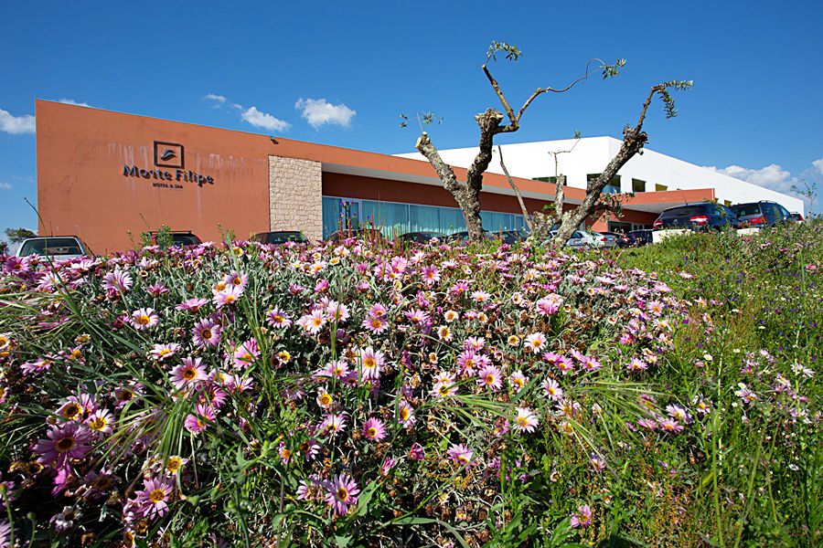Monte Filipe Hotel Alpalhão Buitenkant foto